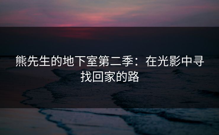 熊先生的地下室第二季：在光影中寻找回家的路