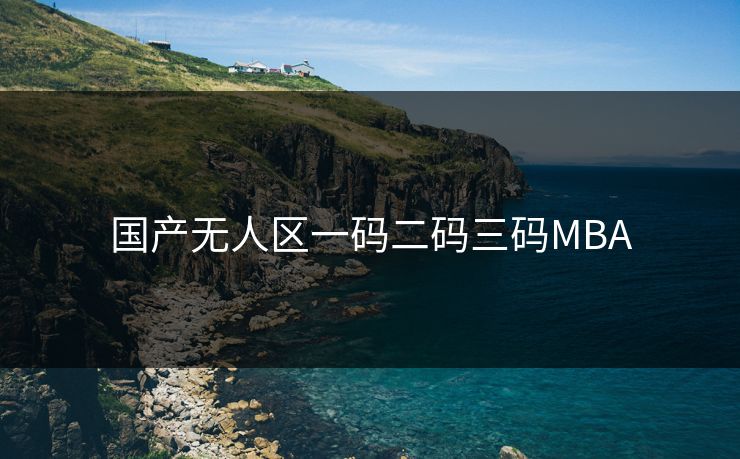 国产无人区一码二码三码MBA
